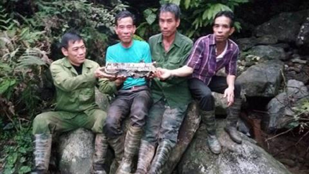 {keywords} {keywords}