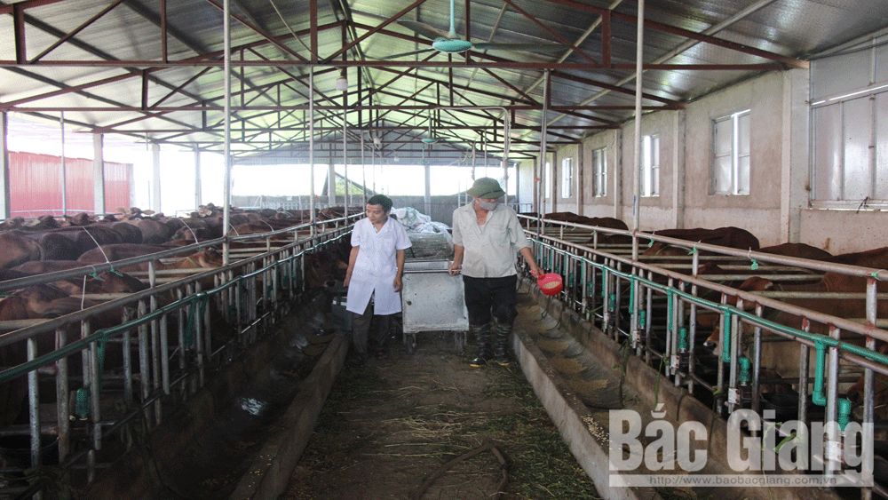 {keywords} {keywords}