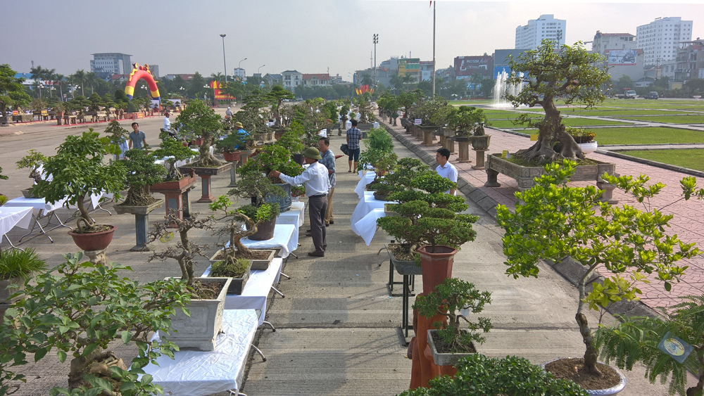 {keywords} {keywords}