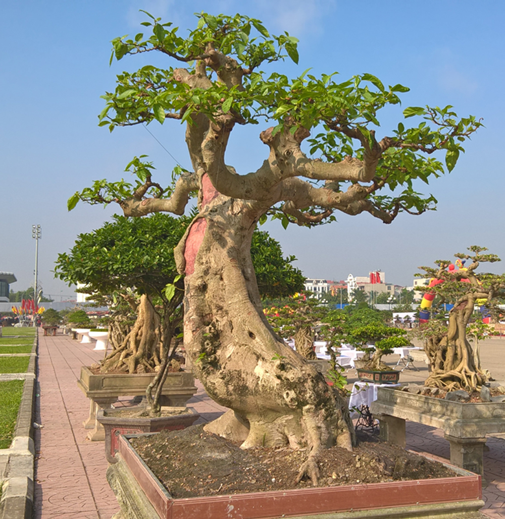 {keywords} {keywords}