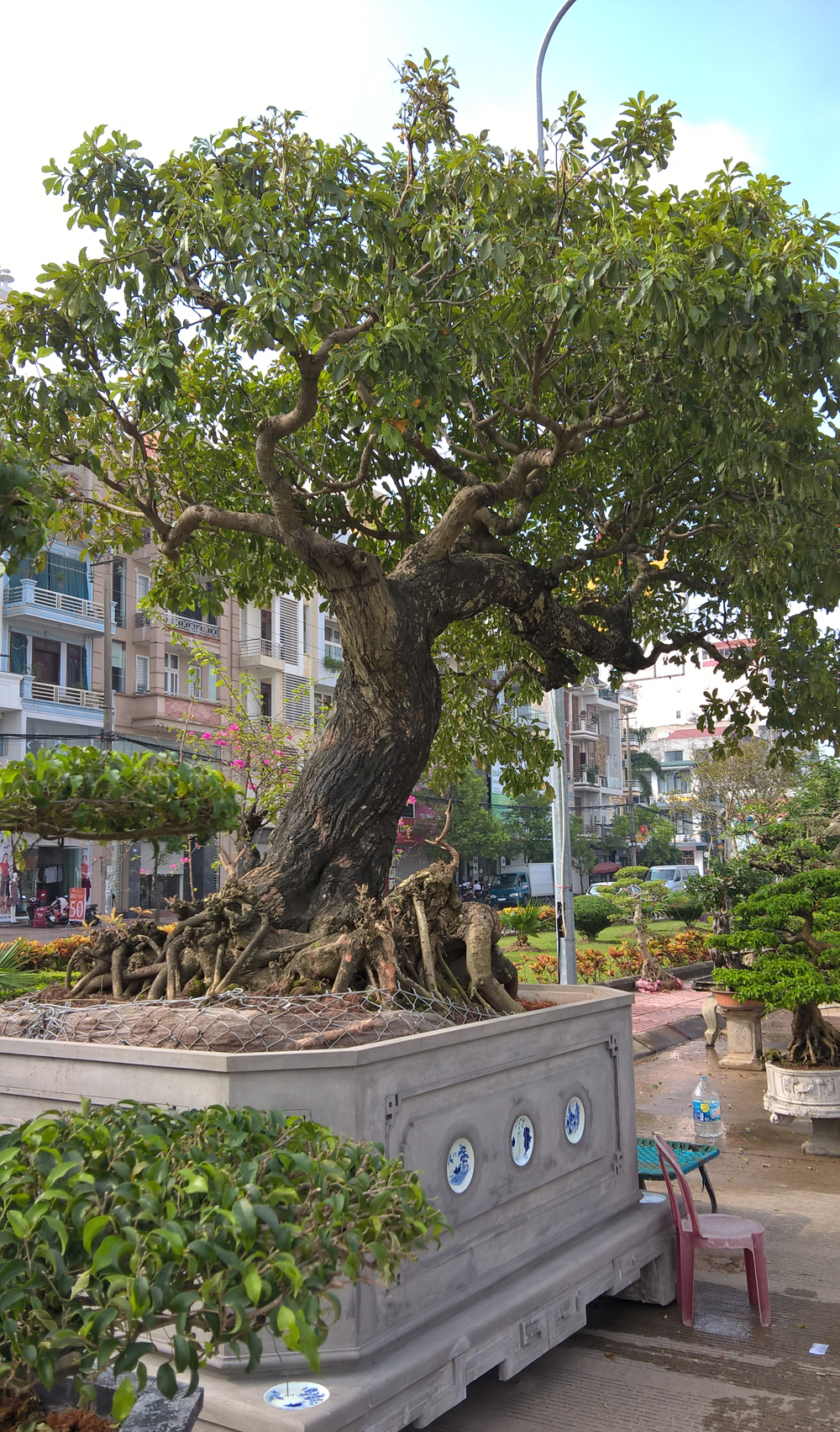 {keywords} {keywords}