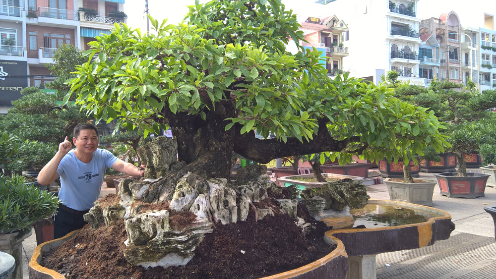 {keywords} {keywords}