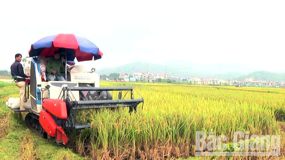 {keywords} {keywords}