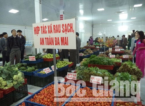 Không để xảy ra ngộ độc thực phẩm và dịch bệnh nguy hiểm
