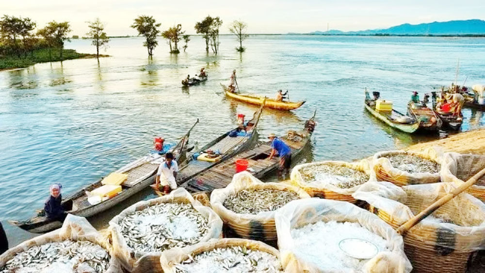 Mekong Delta in “floating season”: A real travel experience