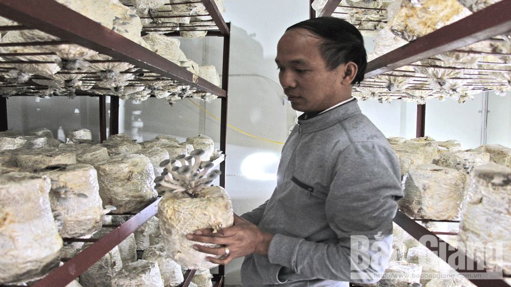 {keywords} {keywords}