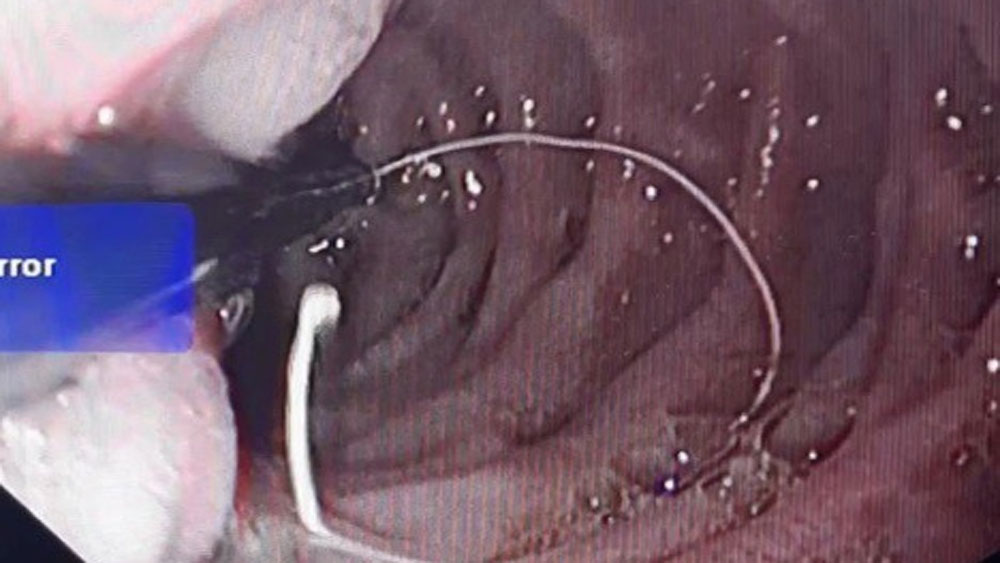 {keywords} {keywords}