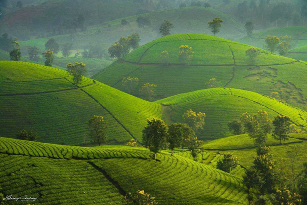 {keywords} {keywords}