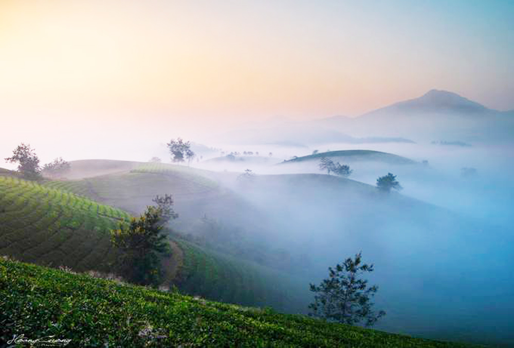 {keywords} {keywords}