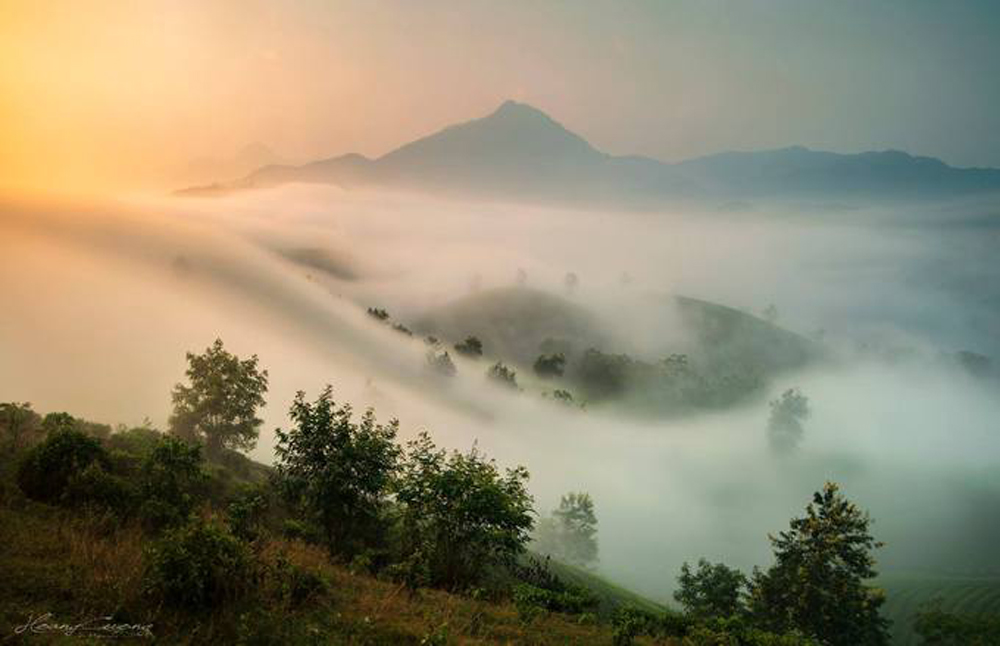 {keywords} {keywords}