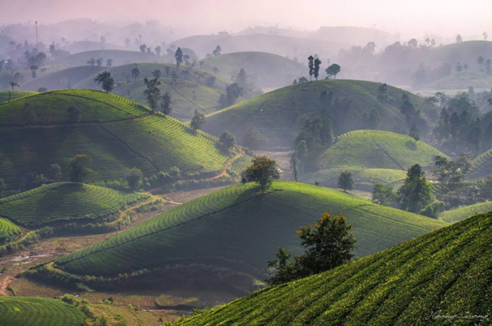 {keywords} {keywords}