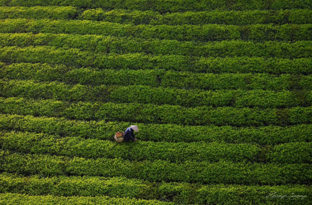 {keywords} {keywords}