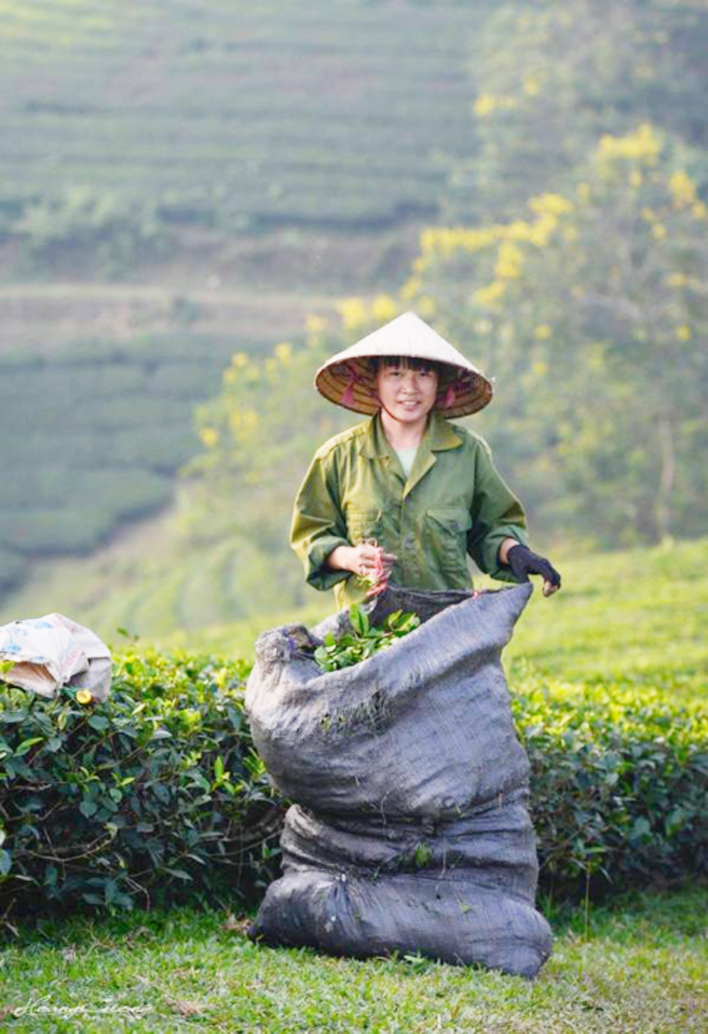 {keywords} {keywords}