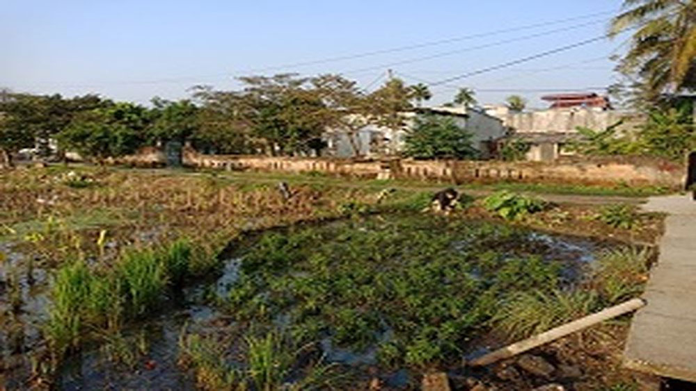 {keywords} {keywords}