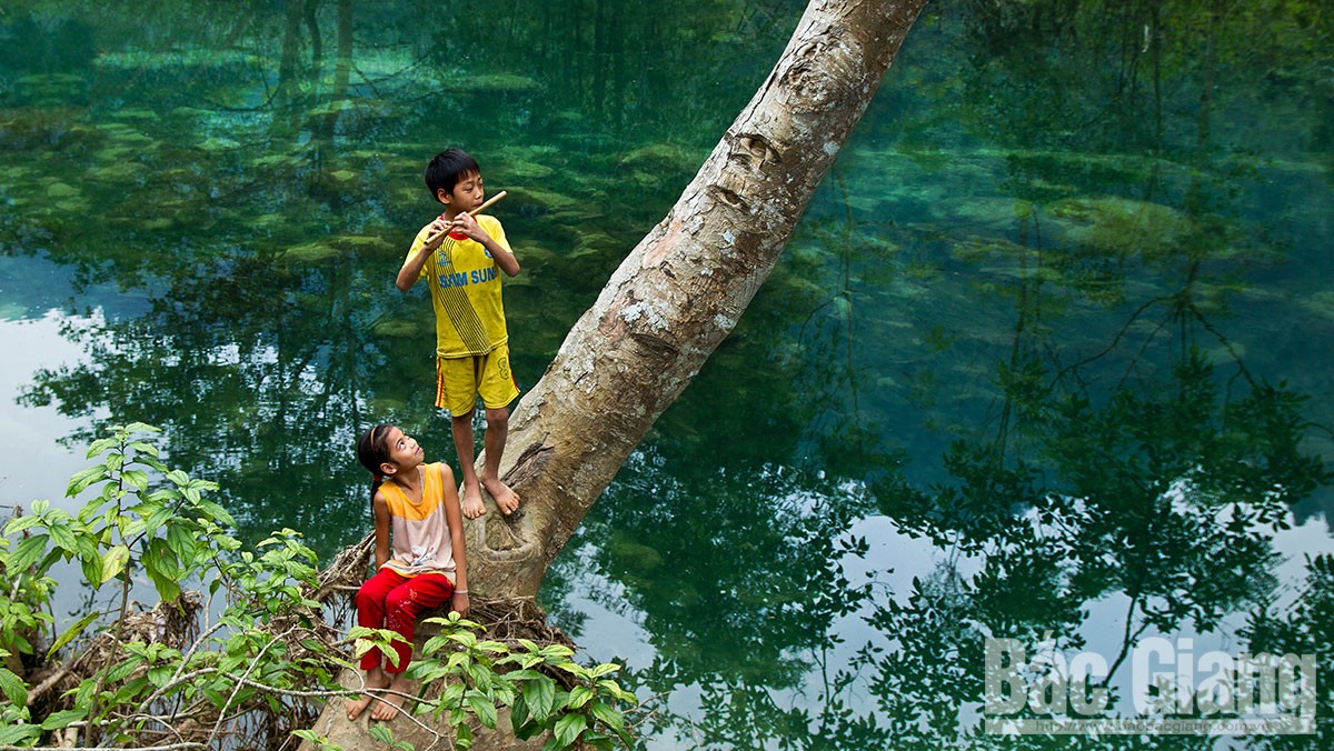 Khúc nhạc hồn quê