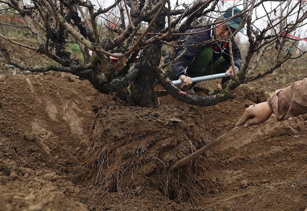 {keywords} {keywords}