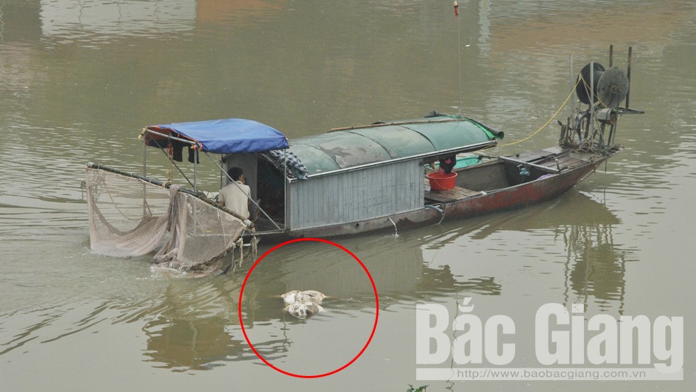 {keywords} {keywords}