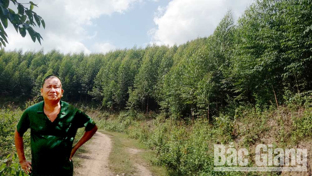 {keywords} {keywords}