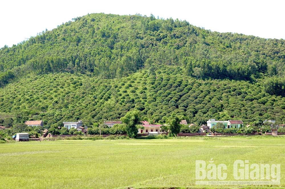 {keywords} {keywords}