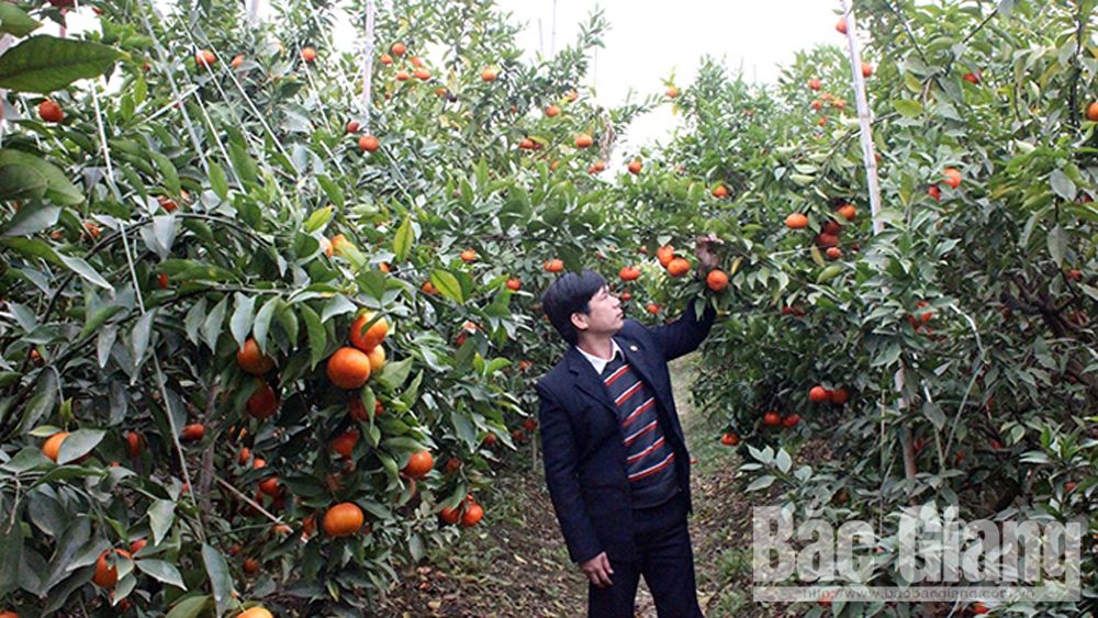 Specialties offered to the king