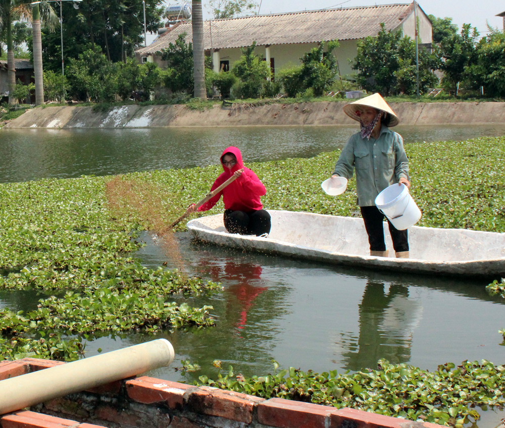 {keywords} {keywords}