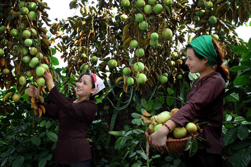 {keywords} {keywords}