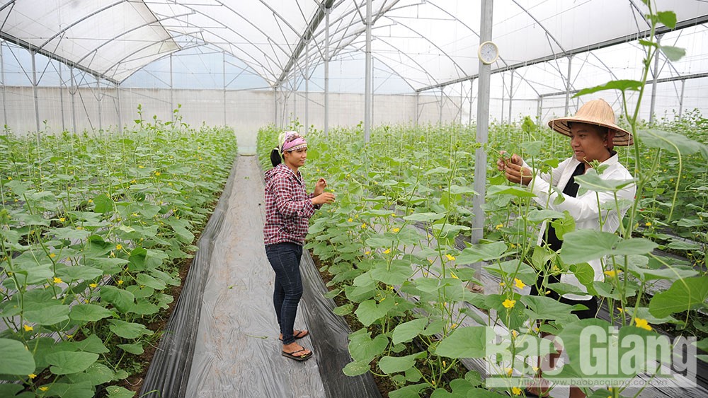 {keywords} {keywords}