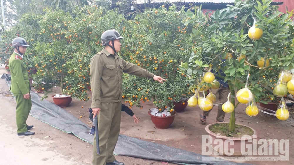 {keywords} {keywords}