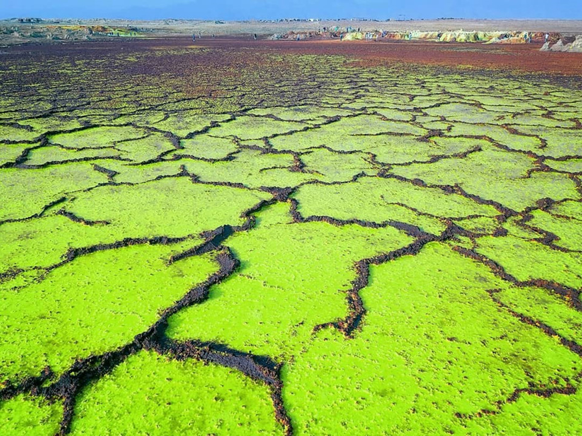 {keywords} {keywords}