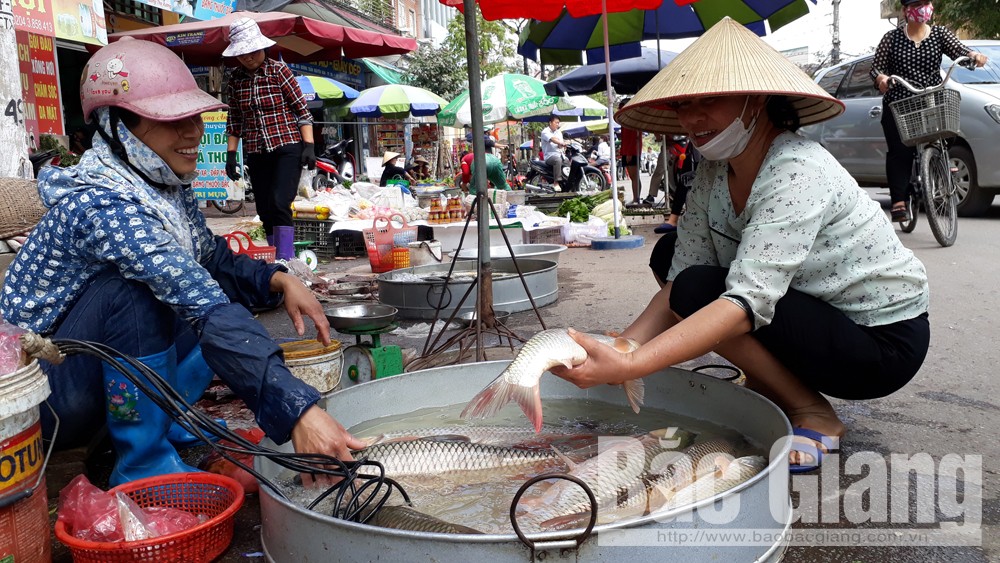 {keywords} {keywords}