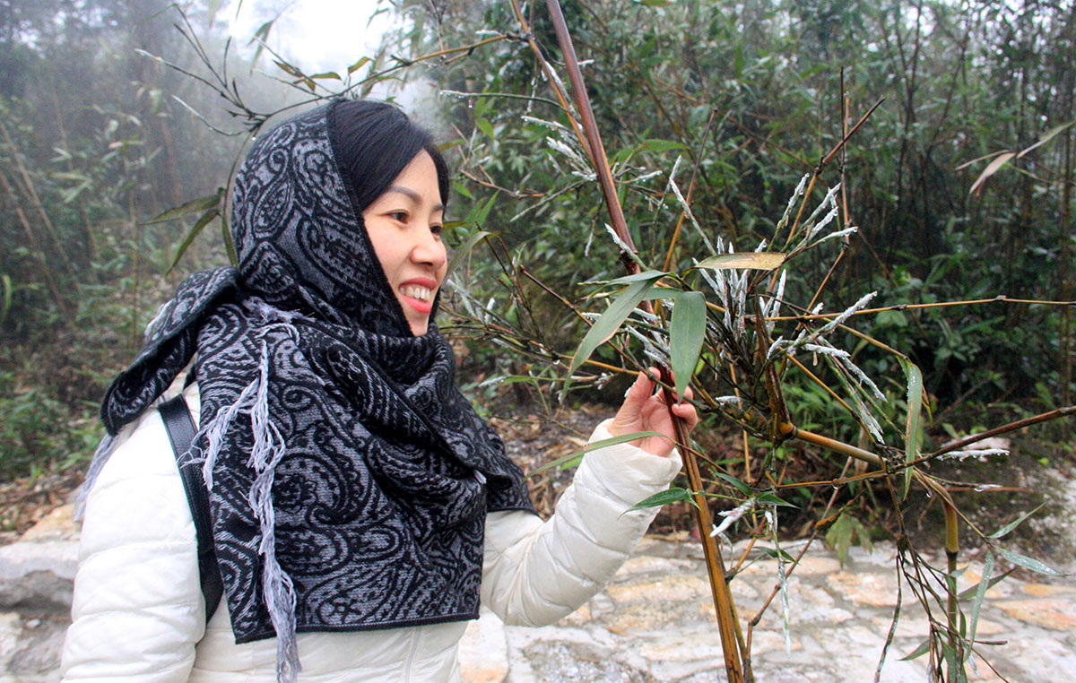 {keywords} {keywords}