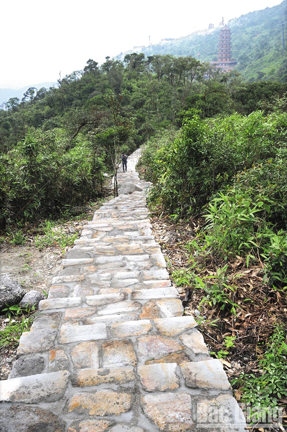 {keywords} {keywords}