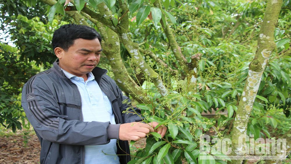 {keywords} {keywords}