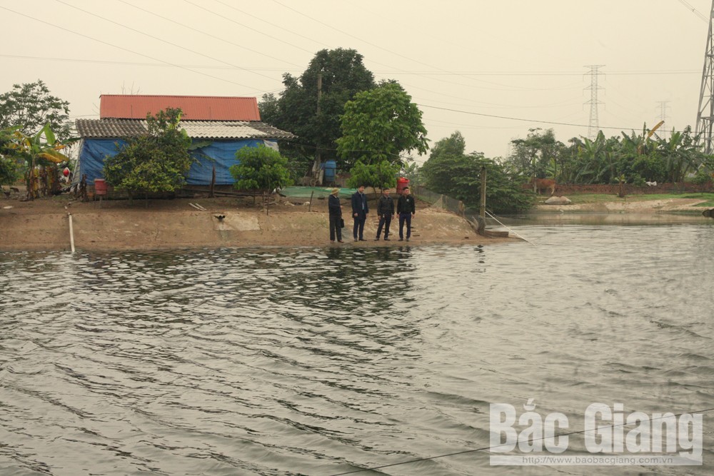 {keywords} {keywords}