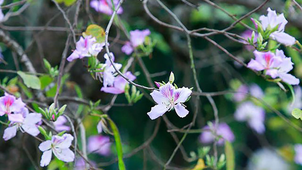 {keywords} {keywords}