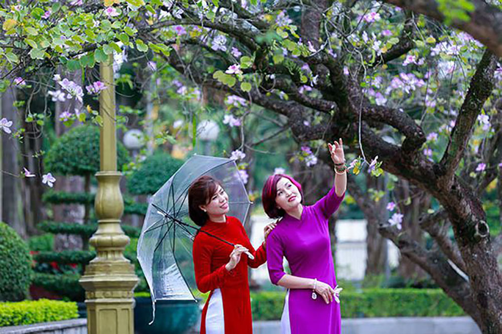 {keywords} {keywords}