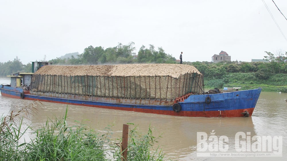 {keywords} {keywords}