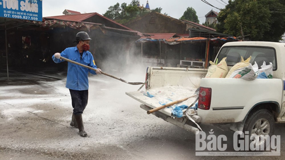 Mỹ Độ thực hiện nhiều biện pháp phòng dịch tả lợn châu Phi