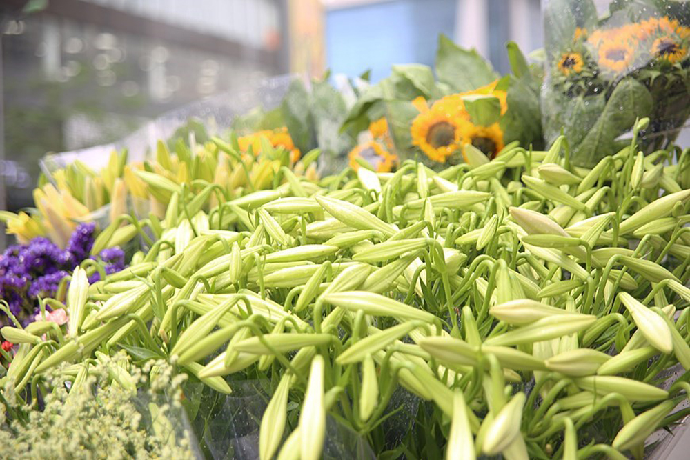 {keywords} {keywords}