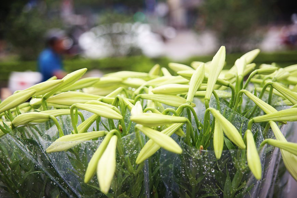 {keywords} {keywords}