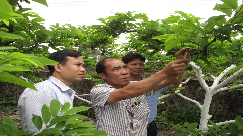 Gương điển hình học tập và làm theo gương Bác (ảnh thời sự nhân 19-5)