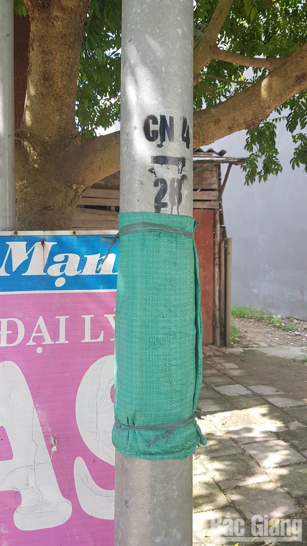 {keywords} {keywords}