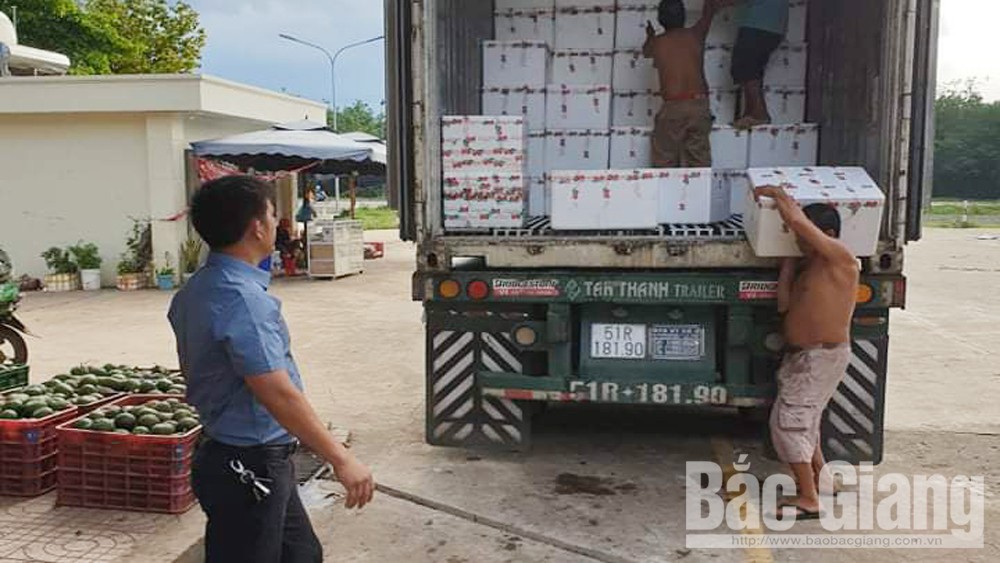 Vải thiều Bắc Giang tiêu thụ mạnh tại chợ đầu mối các tỉnh phía Nam