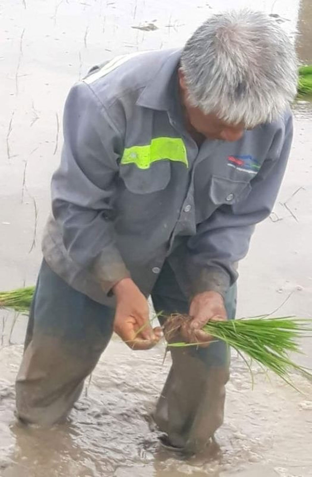 {keywords} {keywords}