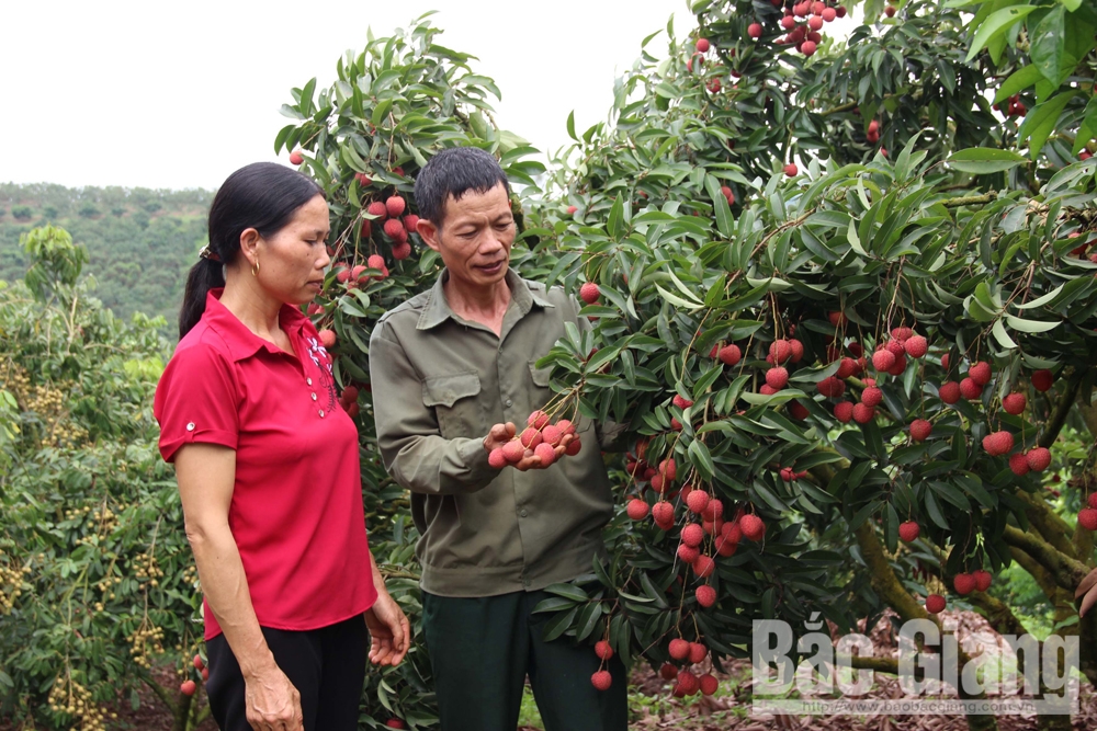 {keywords} {keywords}