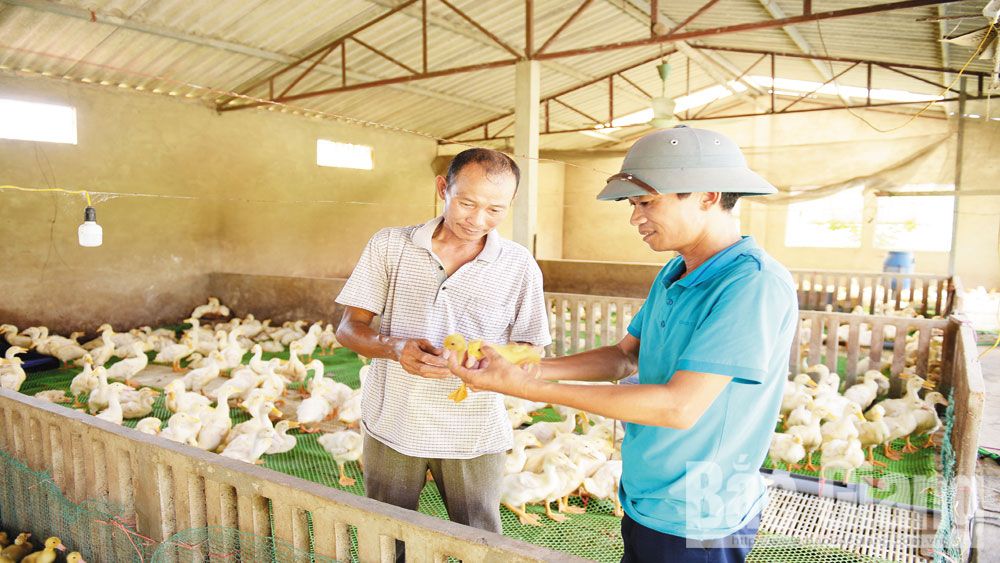 {keywords} {keywords}