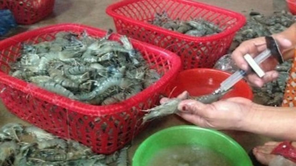 Ngăn chặn hành vi đưa tạp chất vào tôm