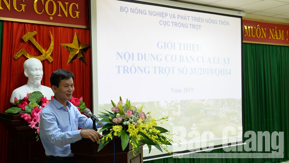 {keywords} {keywords}