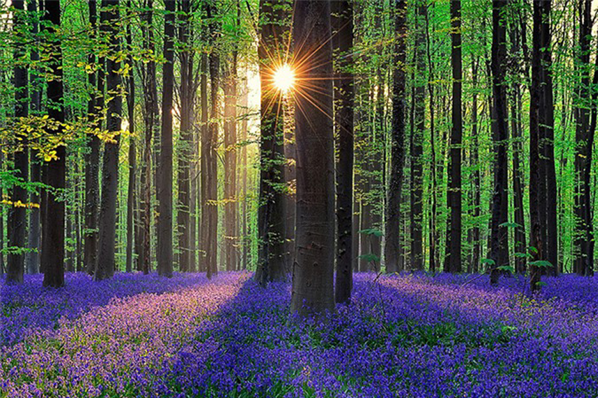 {keywords} {keywords}