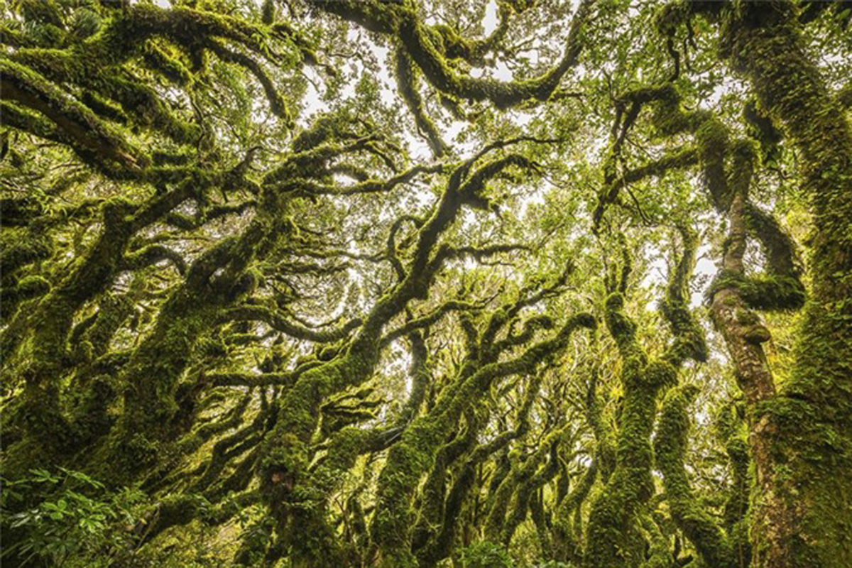 {keywords} {keywords}